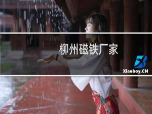 柳州磁铁厂家