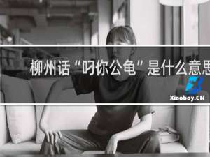 柳州话“叼你公龟”是什么意思
