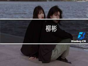 柳彬(关于柳彬的简介)