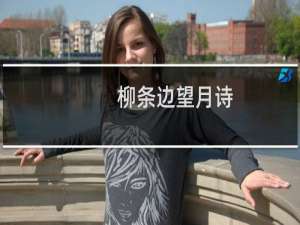 柳条边望月诗(关于柳条边望月诗的简介)