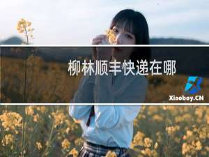 柳林顺丰快递在哪