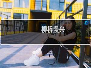 柳桥漫兴(关于柳桥漫兴的简介)