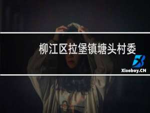 柳江区拉堡镇塘头村委志愿服务队(关于柳江区拉堡镇塘头村委志愿服务队的简介)