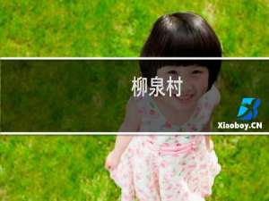 柳泉村(关于柳泉村的简介)