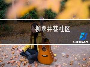 柳翠井巷社区(关于柳翠井巷社区的简介)