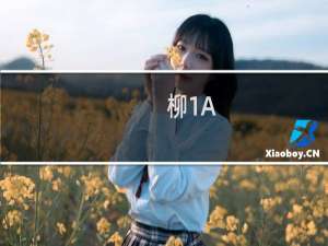 柳1A(关于柳1A的简介)