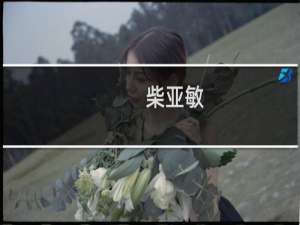 柴亚敏(关于柴亚敏的简介)