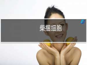 柴捆细胞(关于柴捆细胞的简介)