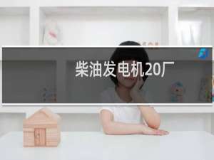 柴油发电机 厂