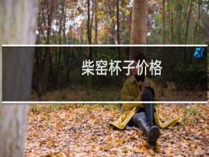 柴窑杯子价格