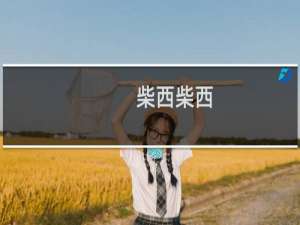 柴西柴西，我的前妻什么梗