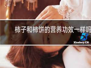 柿子和柿饼的营养功效一样吗