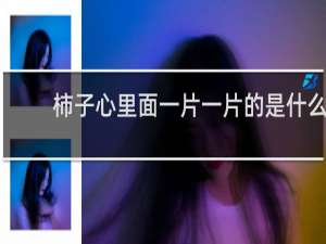 柿子心里面一片一片的是什么