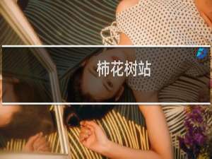 柿花树站(关于柿花树站的简介)