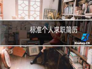 标准个人求职简历