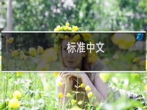 标准中文：第1册(关于标准中文：第1册的简介)