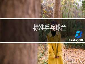 标准乒乓球台