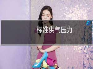 标准供气压力(关于标准供气压力的简介)