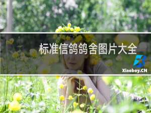 标准信鸽鸽舍图片大全