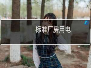 标准厂房用电