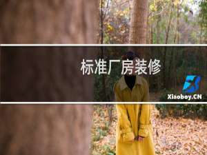 标准厂房装修
