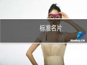 标准名片
