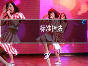 标准指法(关于标准指法的简介)