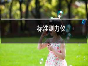 标准测力仪(关于标准测力仪的简介)