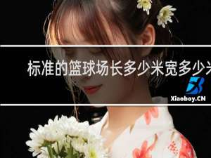 标准的篮球场长多少米宽多少米