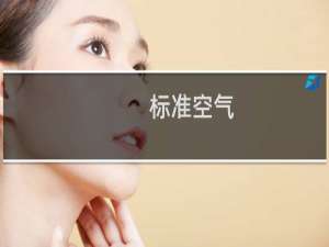 标准空气(关于标准空气的简介)
