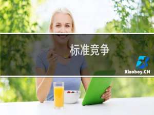 标准竞争(关于标准竞争的简介)