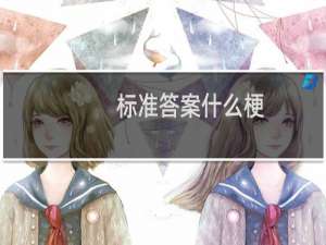 标准答案什么梗