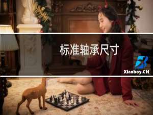 标准轴承尺寸