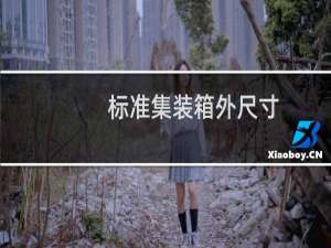 标准集装箱外尺寸