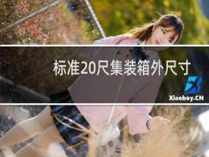 标准20尺集装箱外尺寸