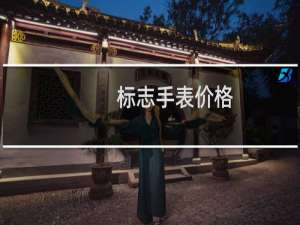 标志手表价格
