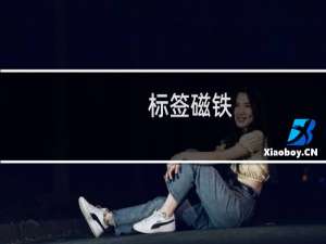 标签磁铁