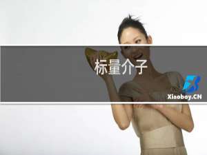 标量介子(关于标量介子的简介)