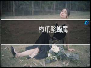 栉爪螯蜂属(关于栉爪螯蜂属的简介)