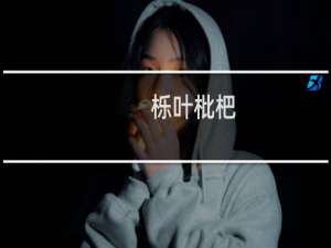 栎叶枇杷(关于栎叶枇杷的简介)