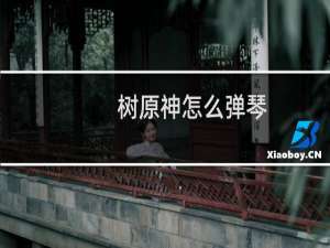 树原神怎么弹琴