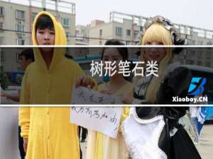 树形笔石类(关于树形笔石类的简介)
