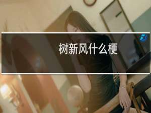 树新风什么梗