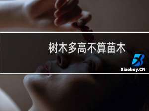 树木多高不算苗木