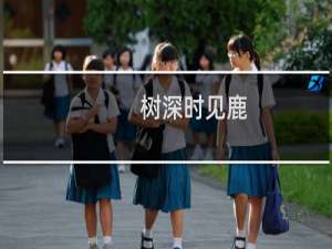 树深时见鹿(关于树深时见鹿的简介)