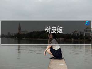 树皮皴(关于树皮皴的简介)