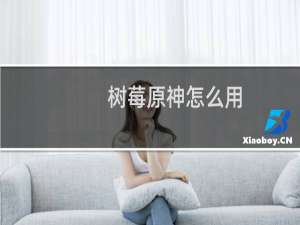 树莓原神怎么用