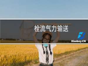 栓流气力输送(关于栓流气力输送的简介)