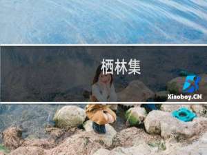 栖林集(关于栖林集的简介)