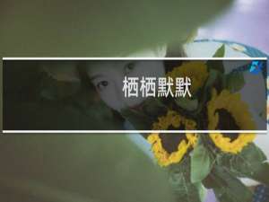 栖栖默默(关于栖栖默默的简介)